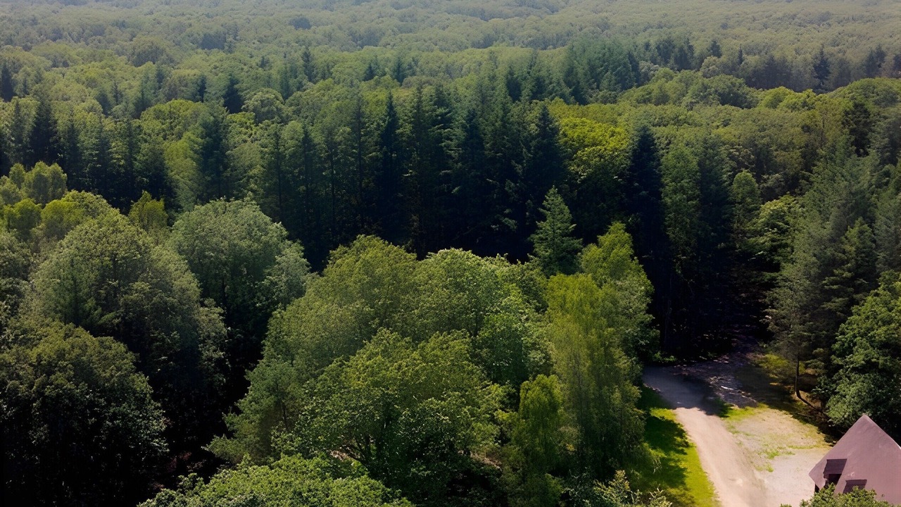 Photo of Outdoor in Forges-les-Eaux