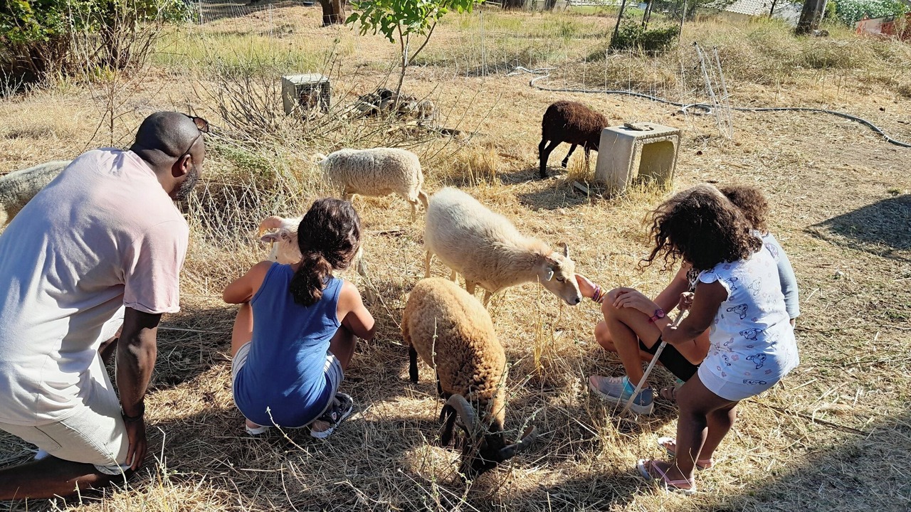 Photo of Others in Pont-Saint-Esprit