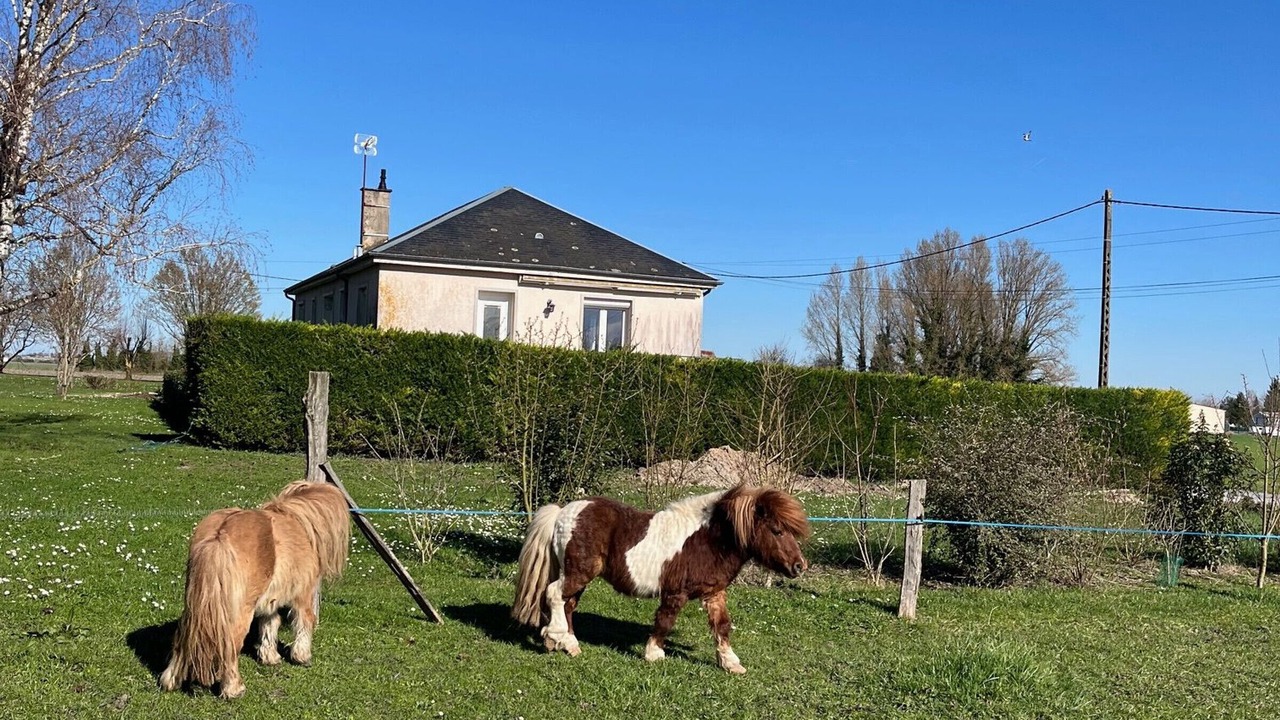 Photo of Outdoor in Chilleurs-aux-Bois