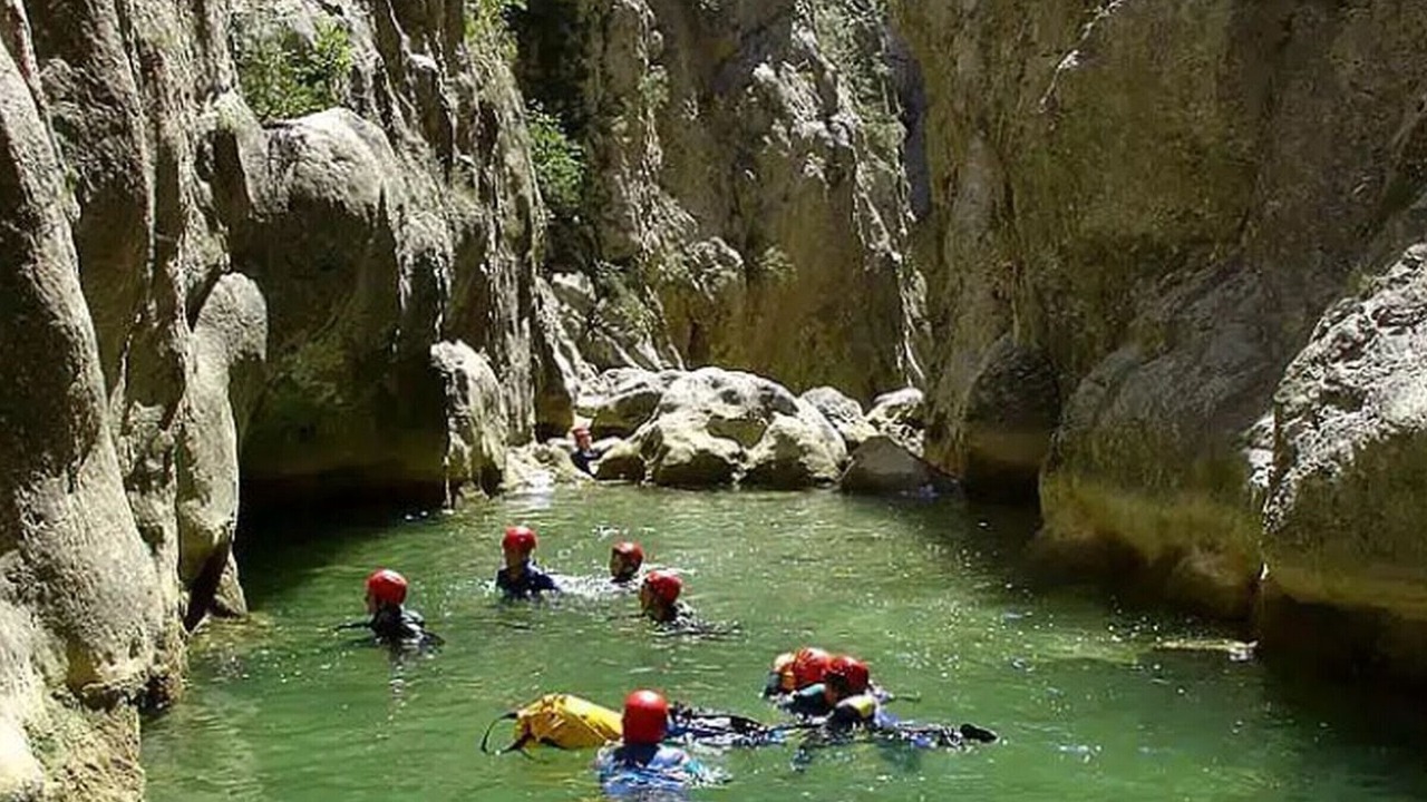Photo of Others in Vinca