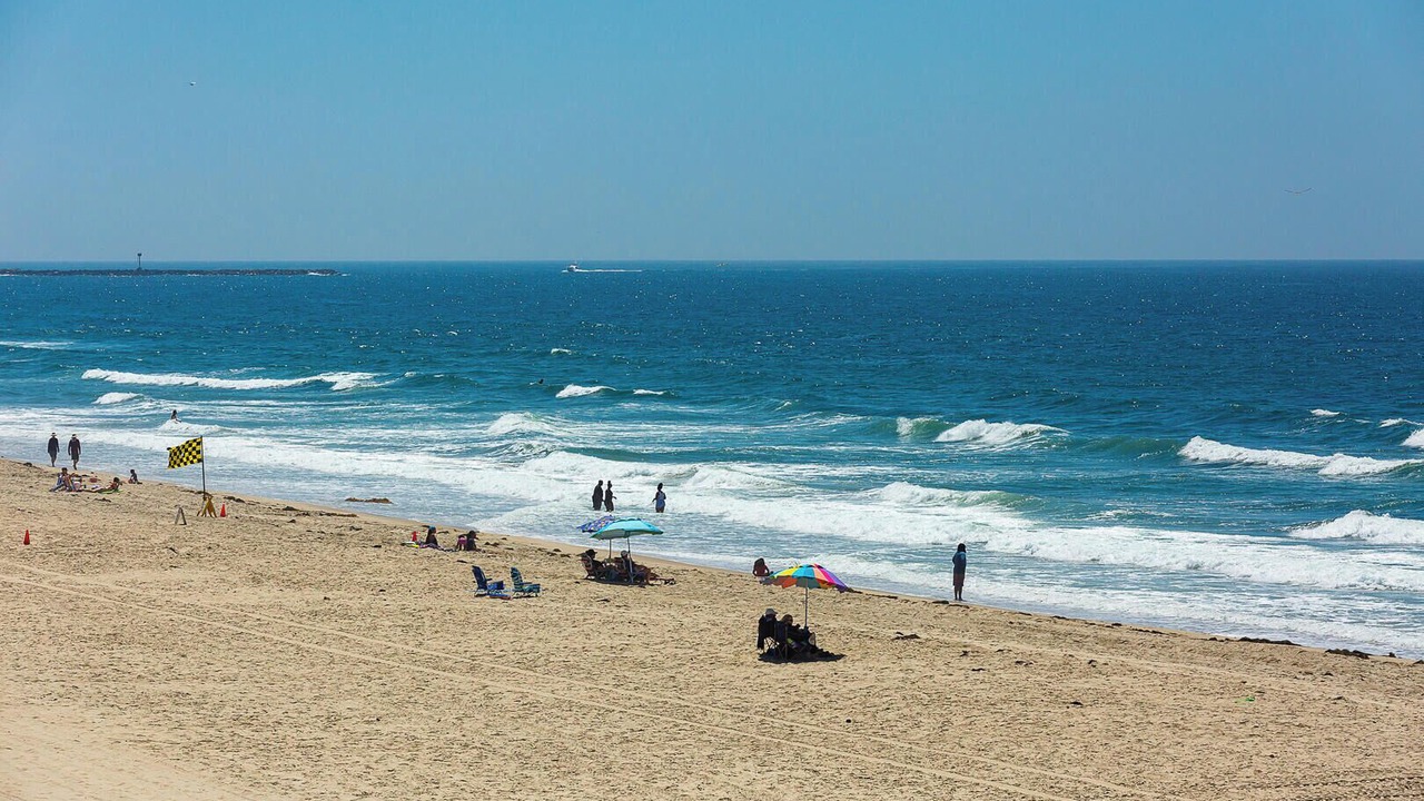 Photo of Others in Mission Beach