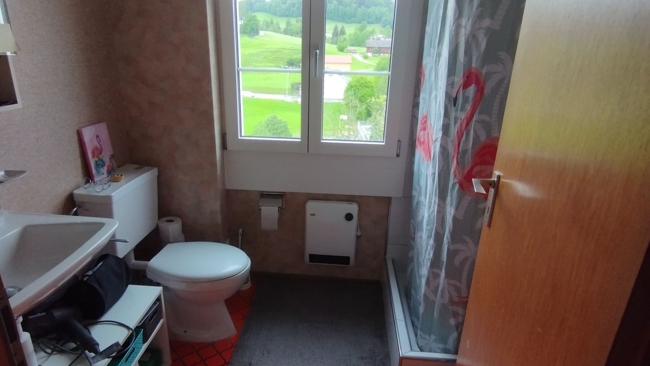 Photo of Bathroom in Herisau