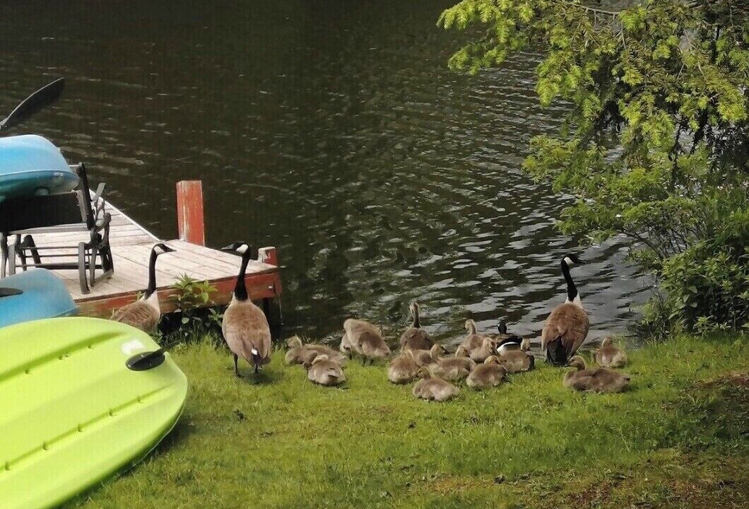 Photo of Others in Cleveland