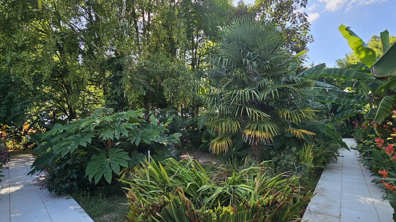Photo of Outdoor in Cussay
