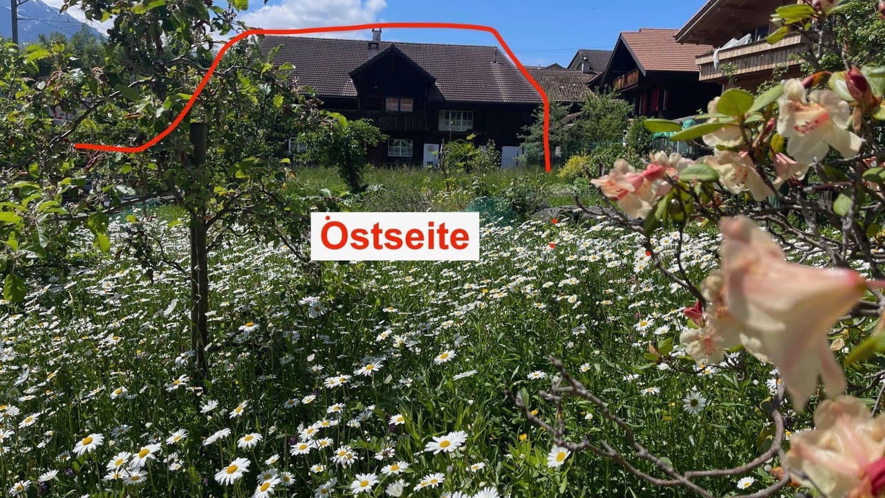 Photo of Others in Ringgenberg