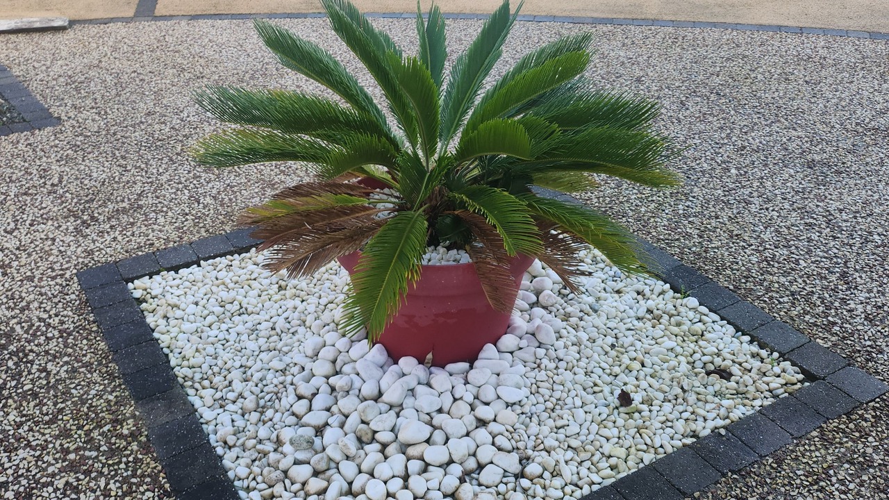 Photo of Outdoor in Jard-sur-Mer