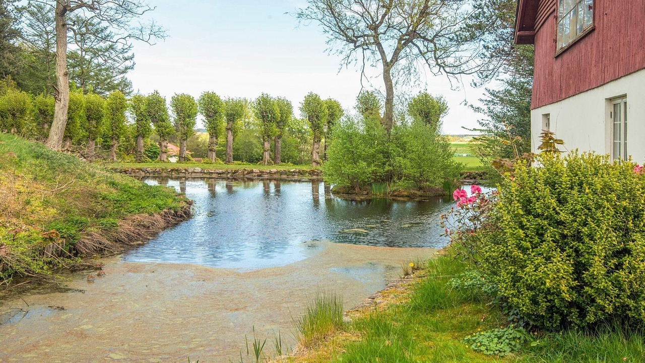 Photo of Outdoor in Brovst