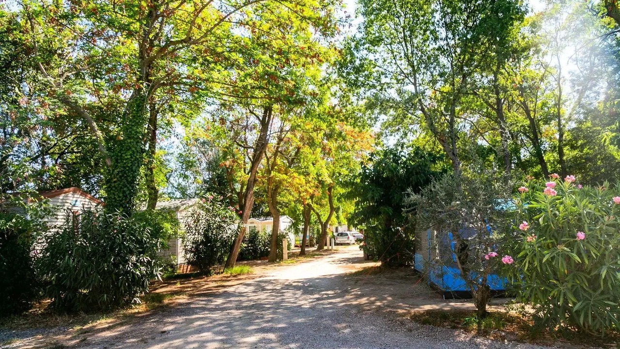 Photo of Outdoor in Nefiach