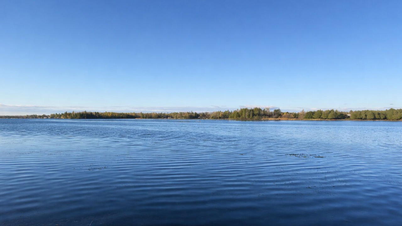 Photo of Others in Barrie