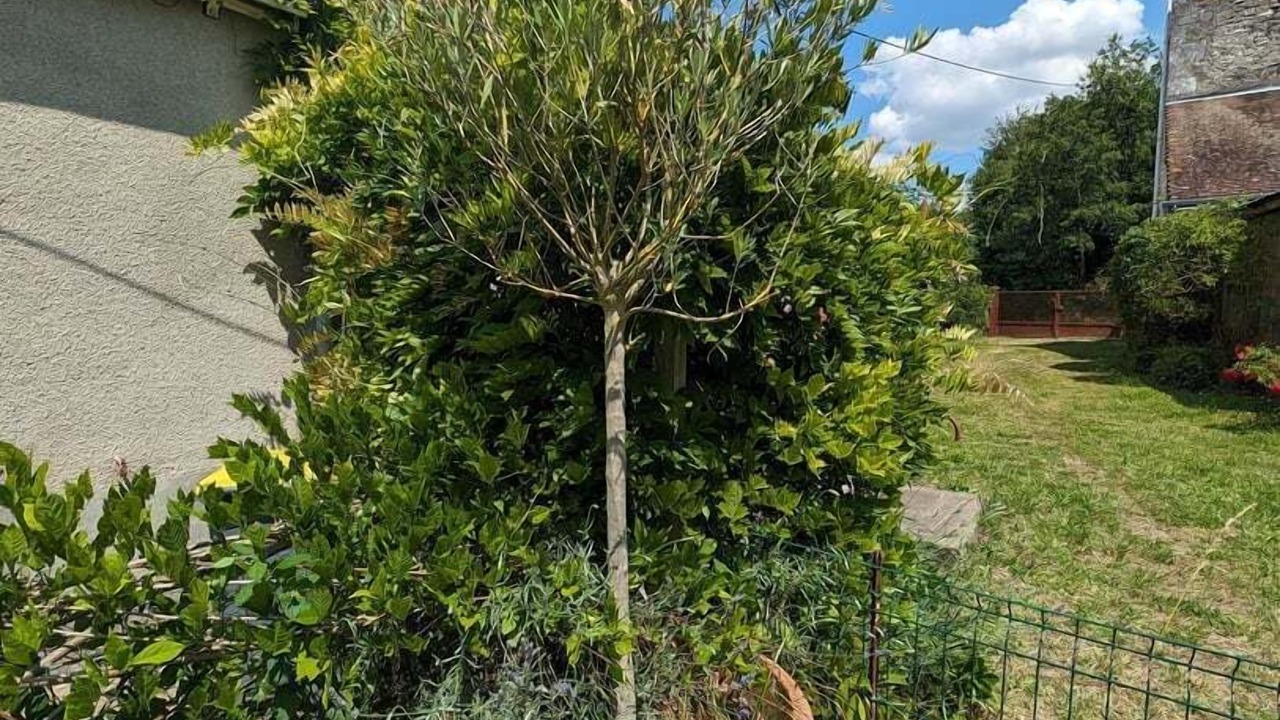 Photo of Outdoor in Chedigny