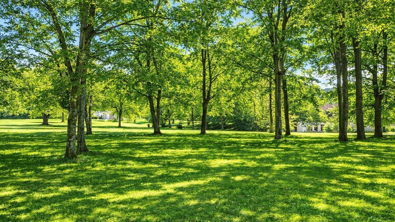 Photo of Outdoor in Chatillon-sur-Indre