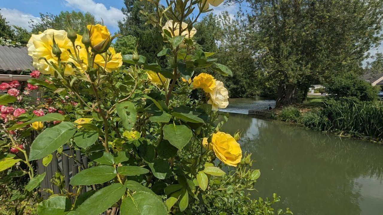 Photo of Outdoor in Loches