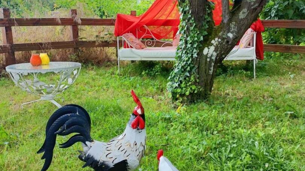 Photo of Outdoor in Loches