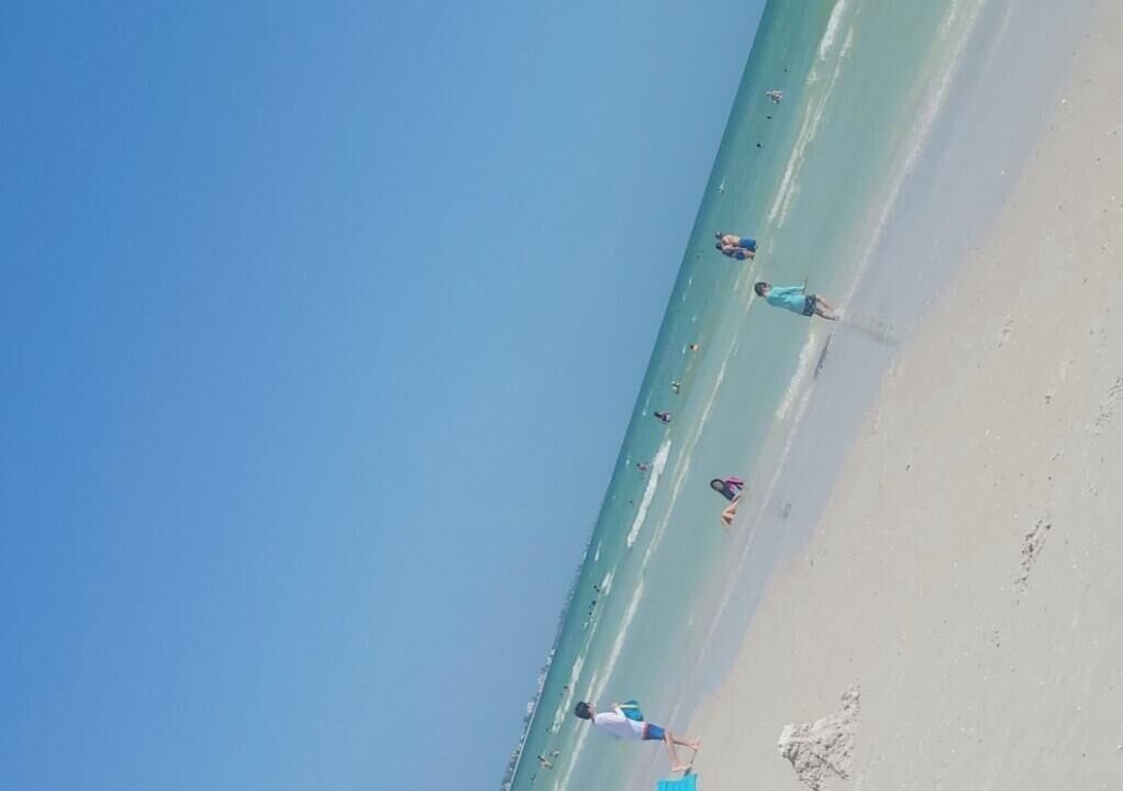 Photo of Others in Bayshore Gardens