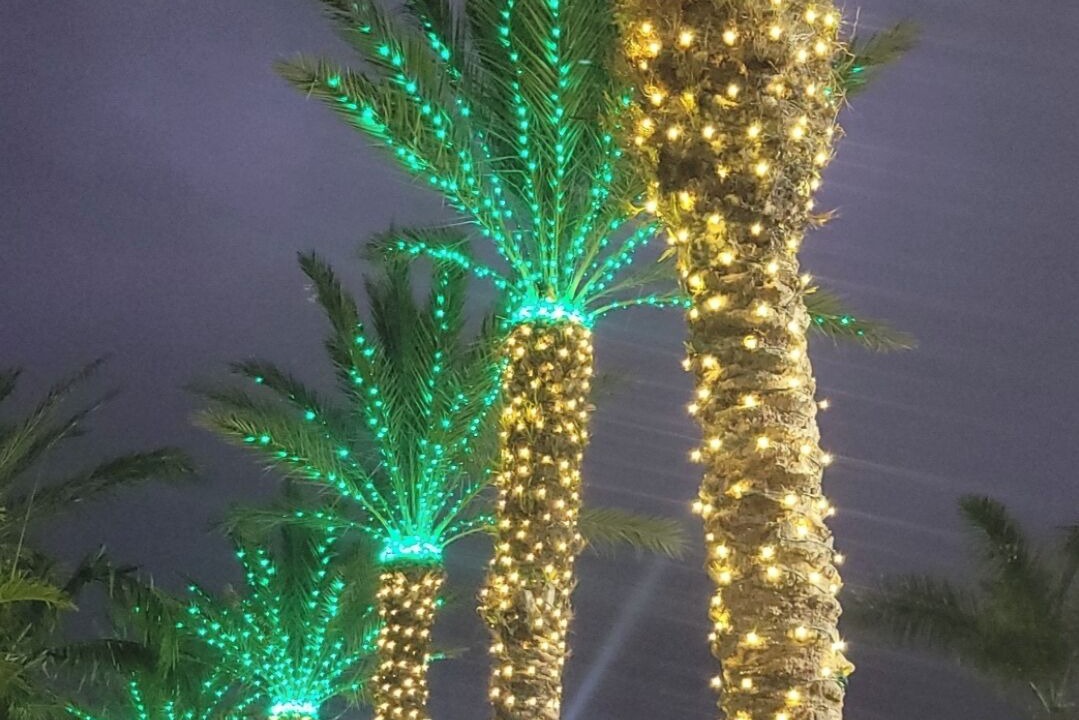 Photo of Others in Bayshore Gardens