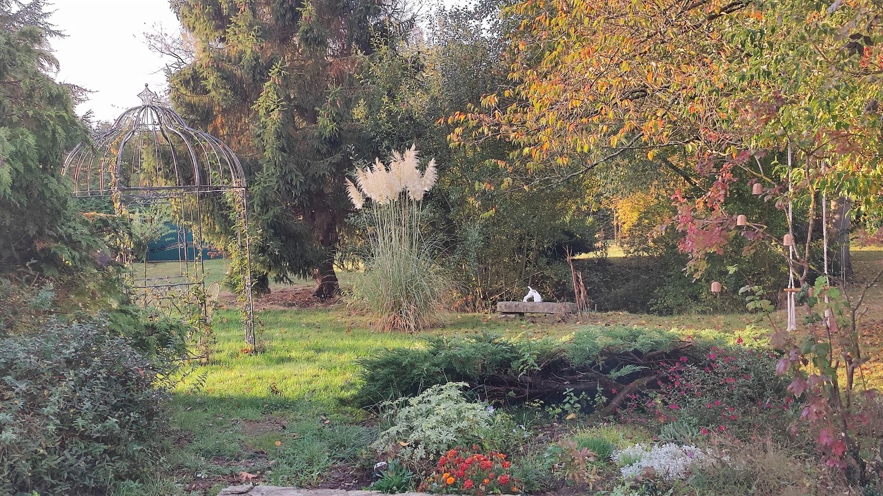 Photo of Outdoor in Ajou