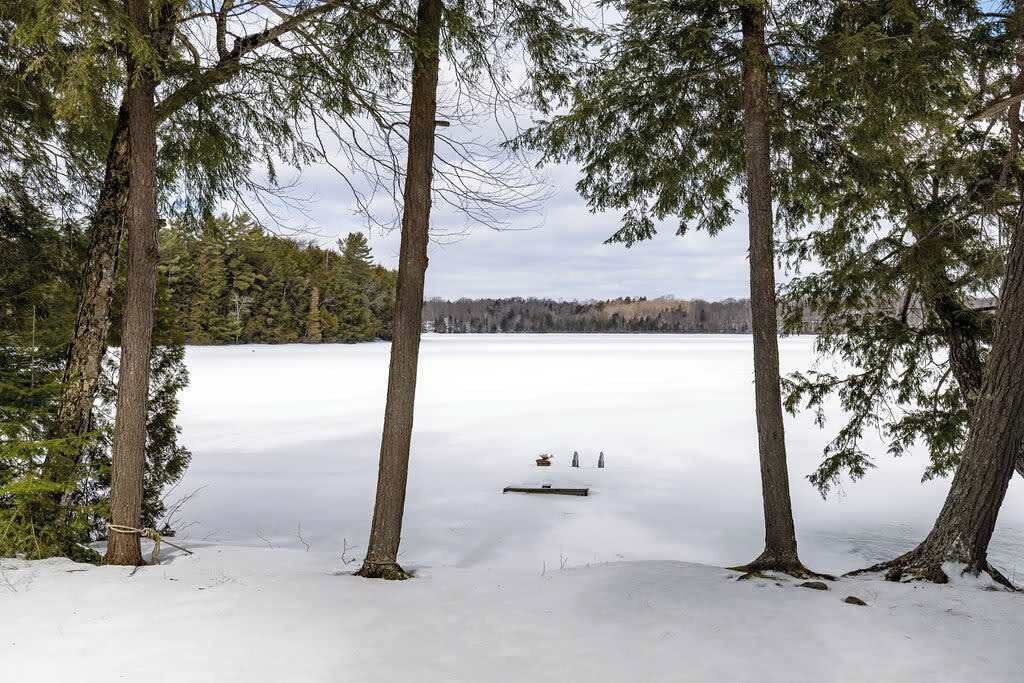 Photo of Others in Baysville
