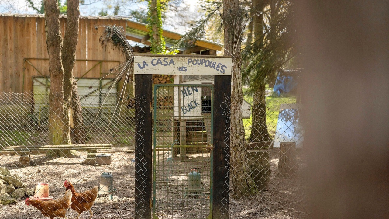 Photo of Outdoor in Saint-Thual