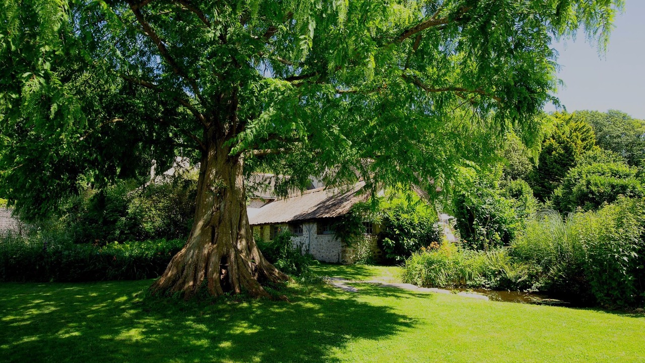 Photo of Outdoor in Jouars-Pontchartrain