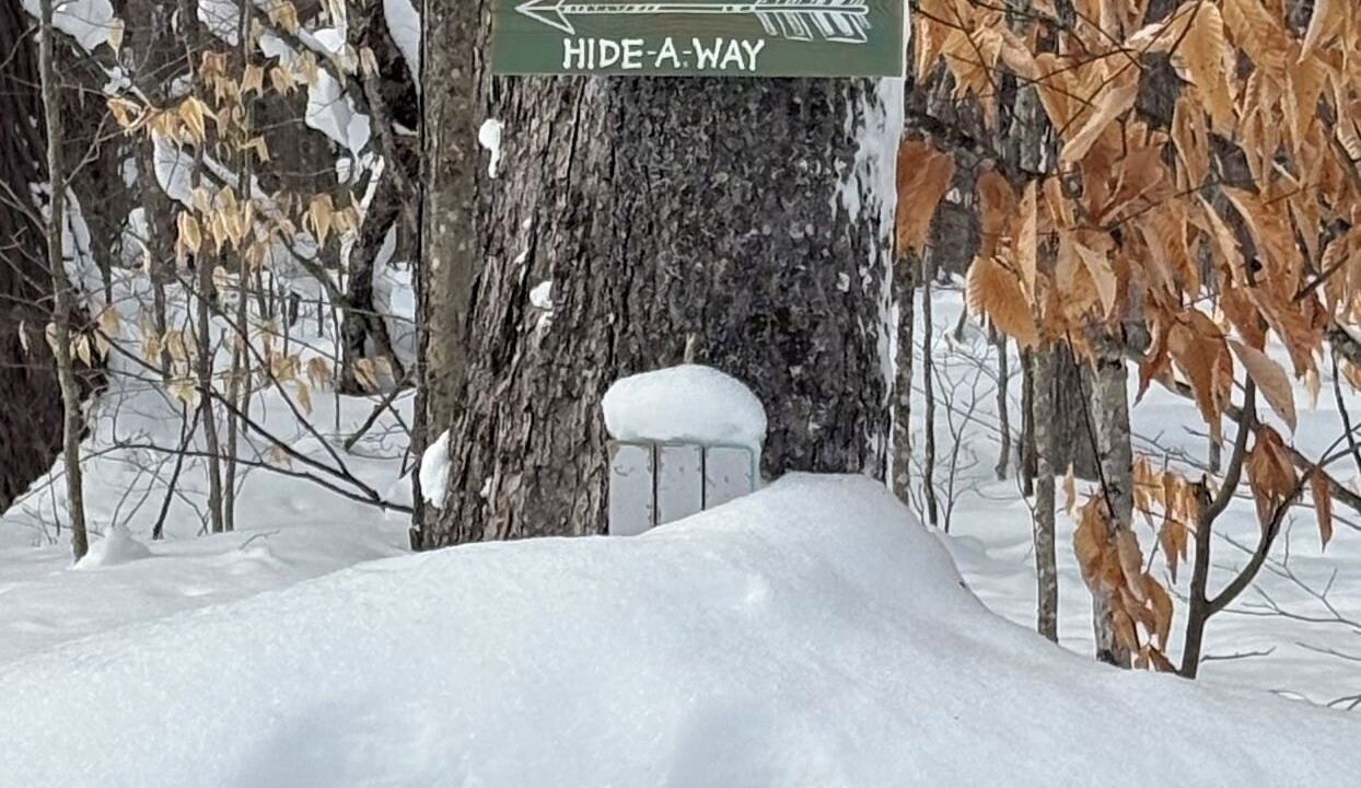 Photo of Outdoor in Saranac Lake