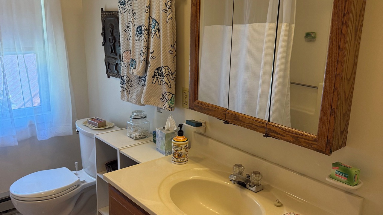 Photo of Bathroom in Saranac Lake