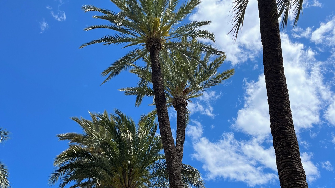 Photo of Outdoor in Los Imbernones