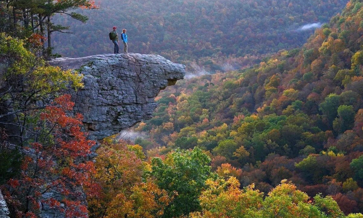 Photo of Others in Clarksville