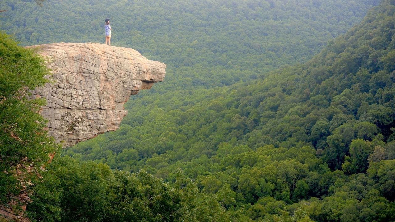 Photo of Others in Clarksville