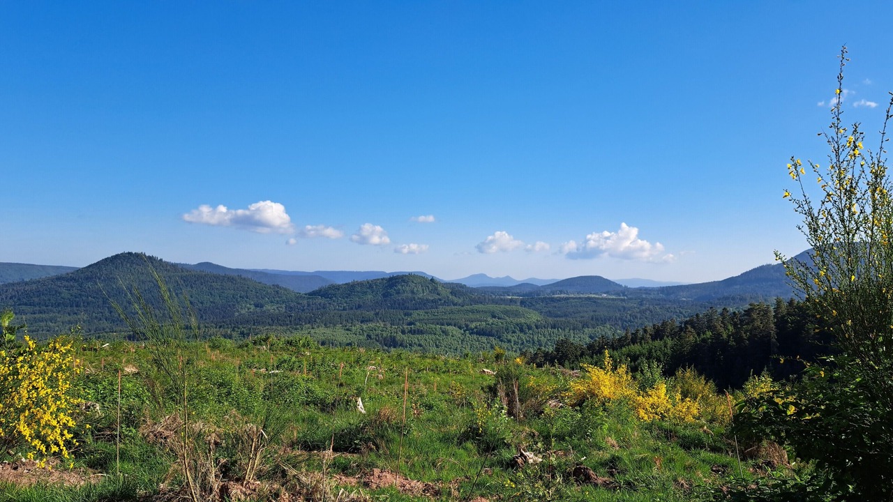 Photo of Others in Provencheres-et-Colroy
