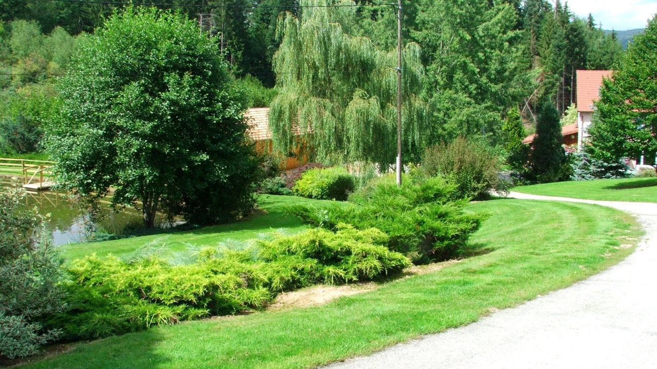 Photo of Outdoor in Provencheres-et-Colroy