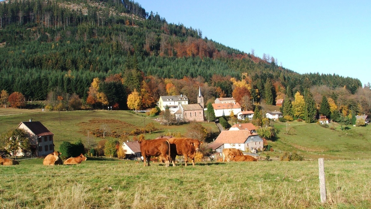 Photo of Others in Provencheres-et-Colroy