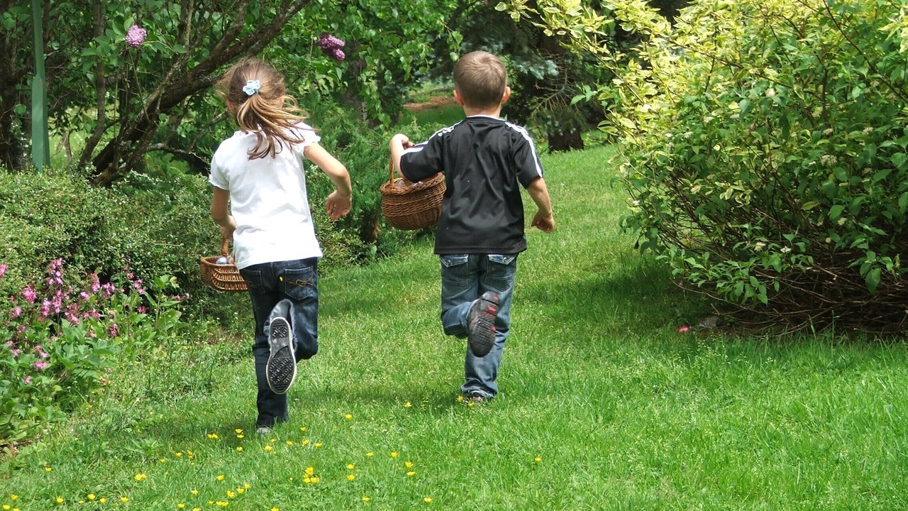 Photo of Outdoor in Provencheres-et-Colroy