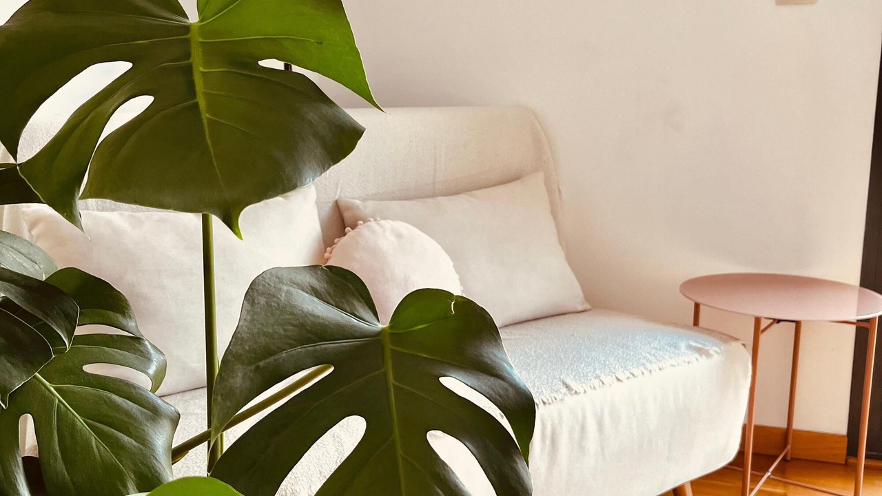 Photo of Livingroom in Viana