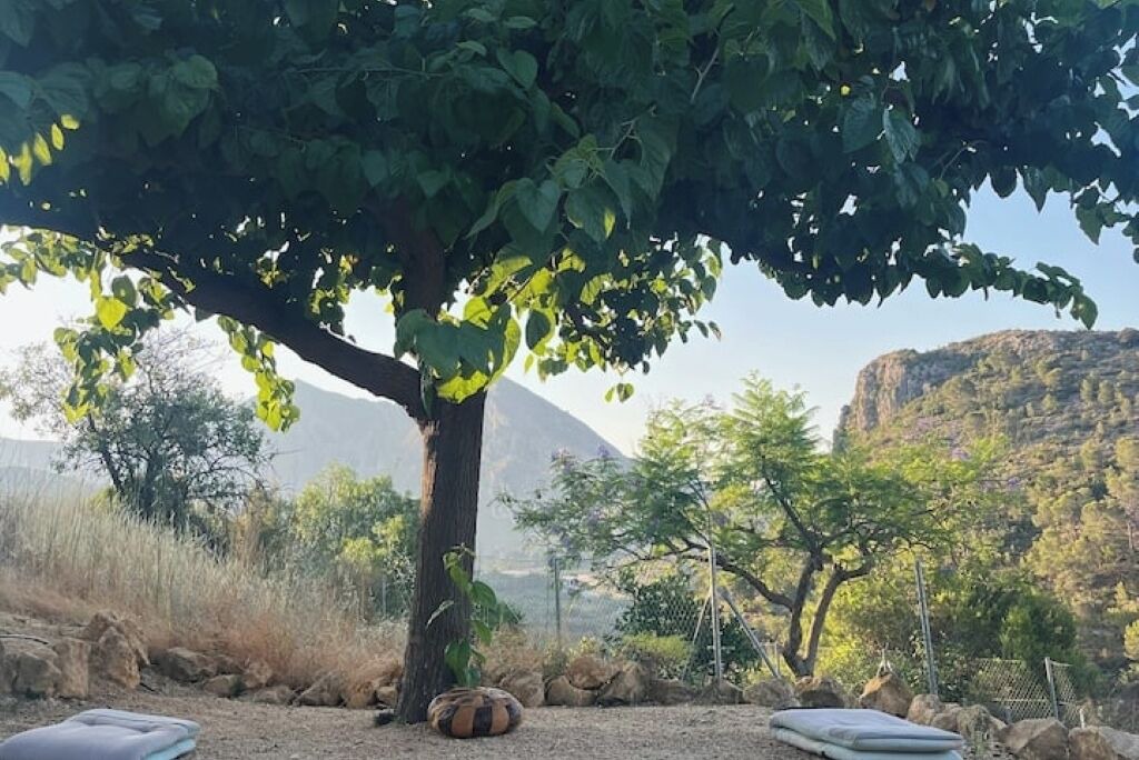 Photo of Outdoor in Bolulla