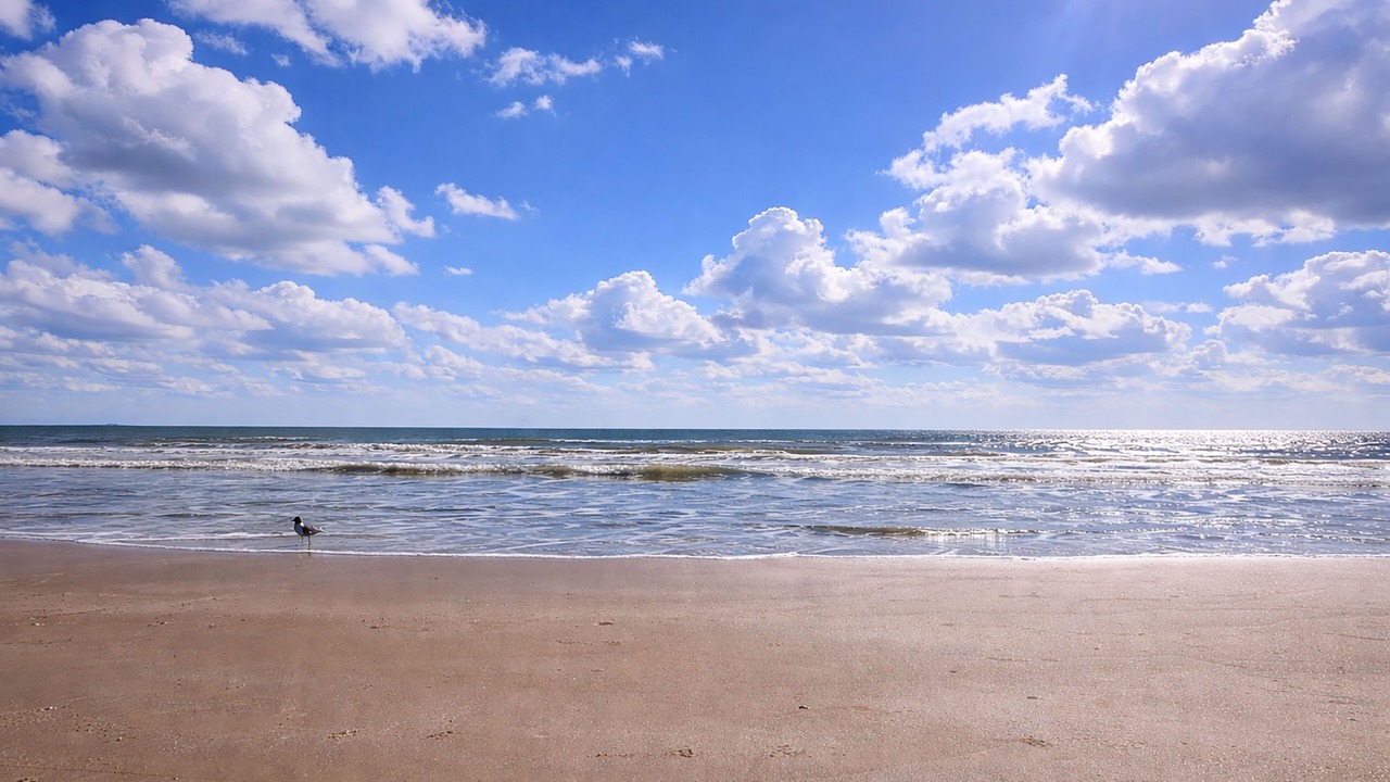 Photo of Others in Port Aransas