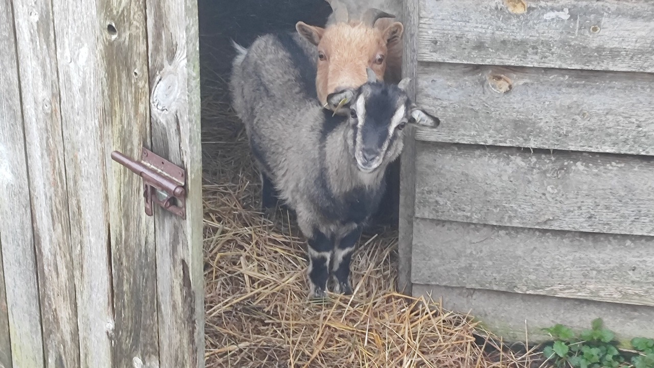 Photo of Others in Les Herbiers