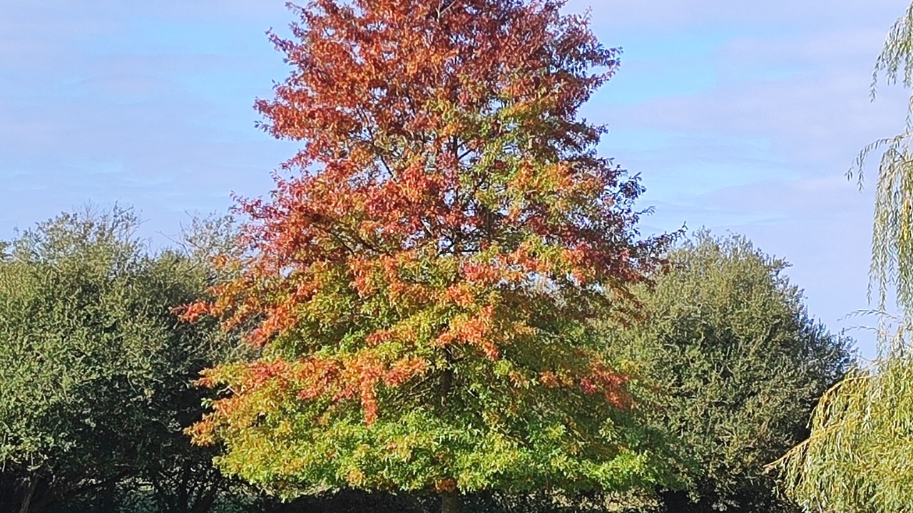 Photo of Outdoor in Les Herbiers