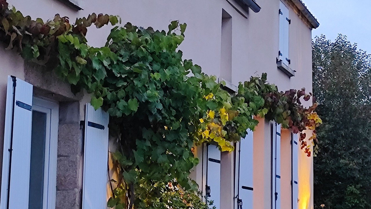 Photo of Outdoor in Les Herbiers