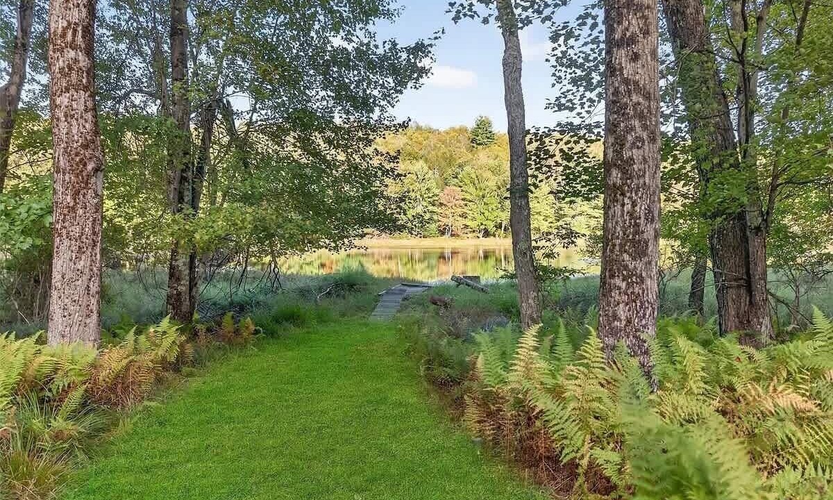Photo of Outdoor in Swan Lake