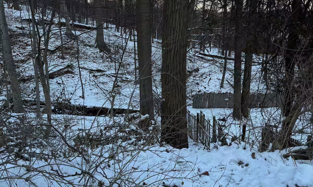 Photo of Others in West Orange