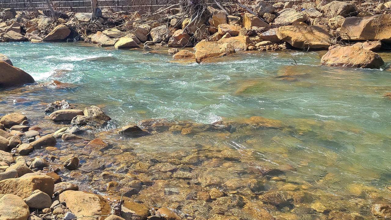 Photo of Others in Westernport