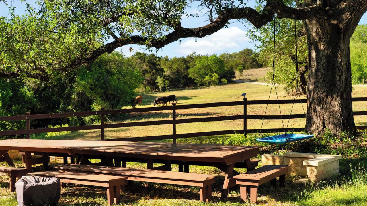 Photo of Outdoor in McNeil
