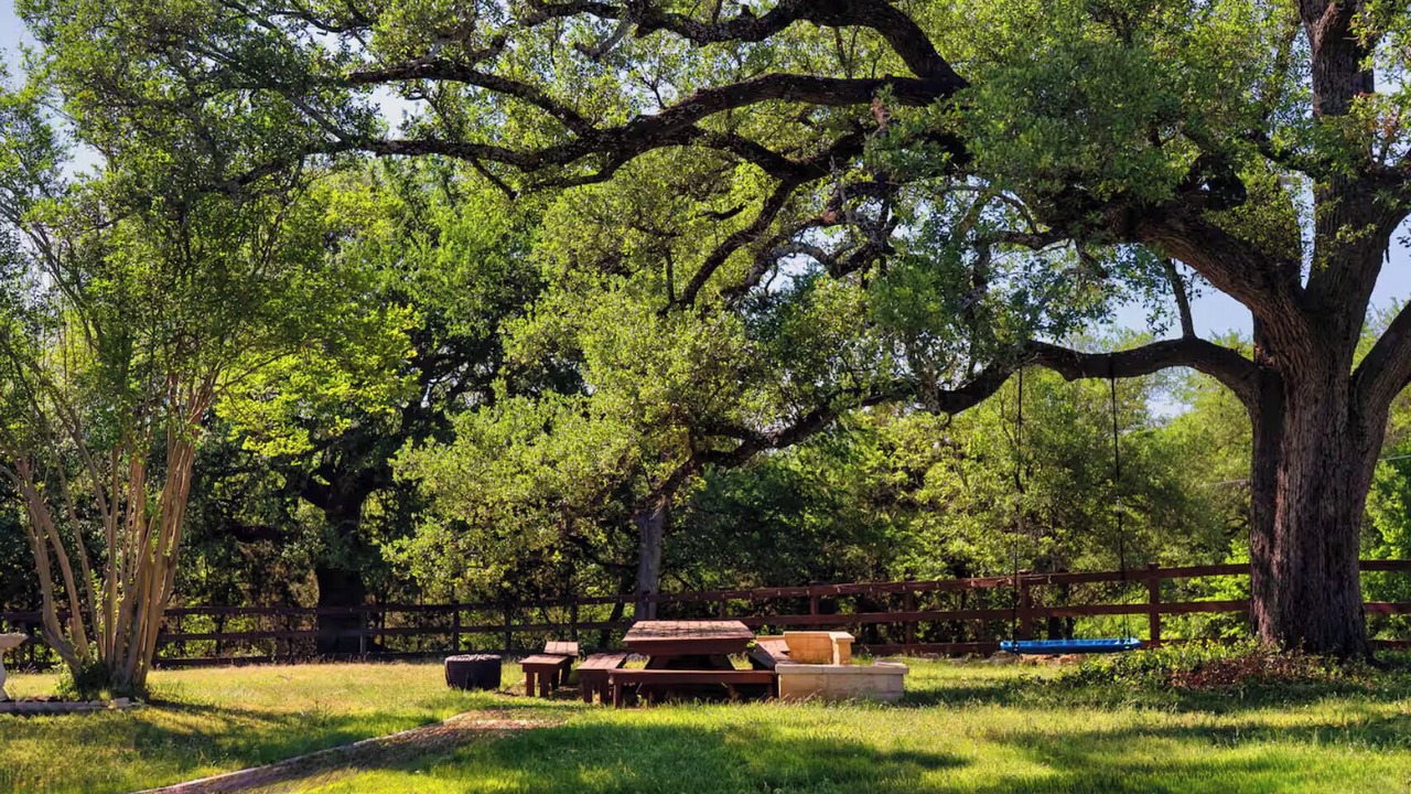 Photo of Outdoor in McNeil