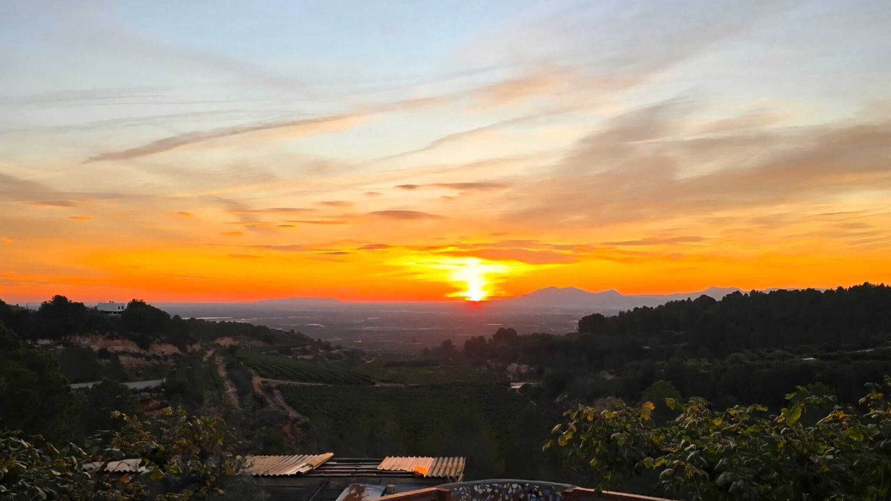 Photo of Outdoor in Catadau