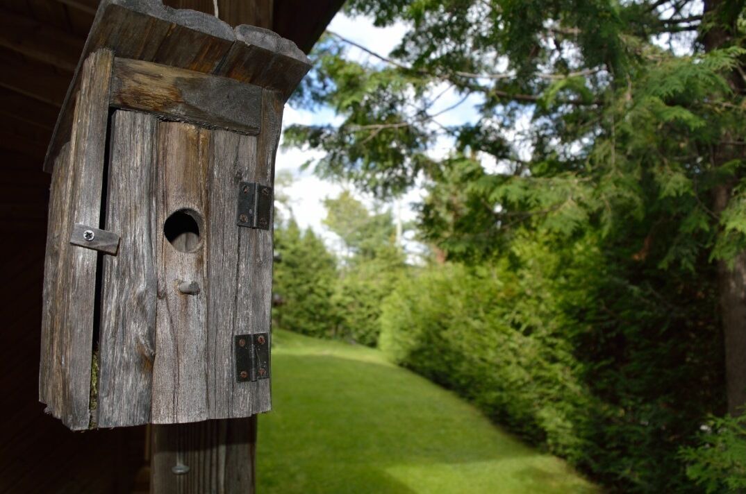 Photo of Outdoor in Sainte-Beatrix