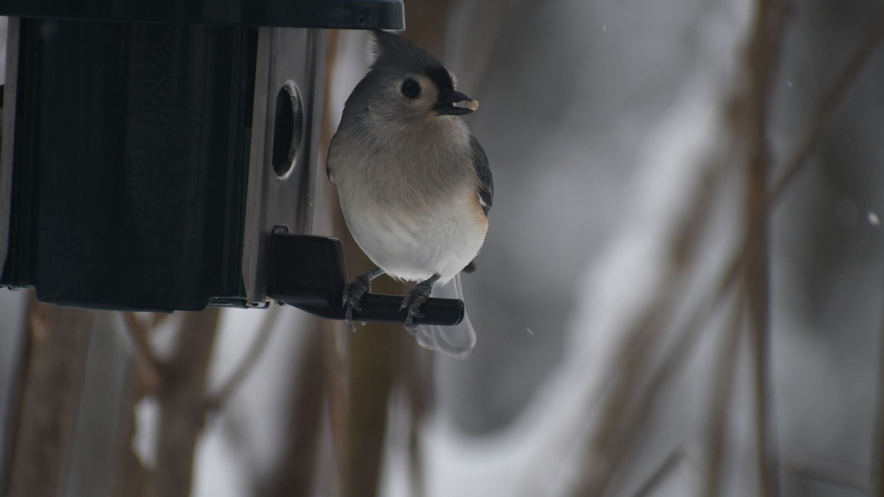 Photo of Others in Stratton