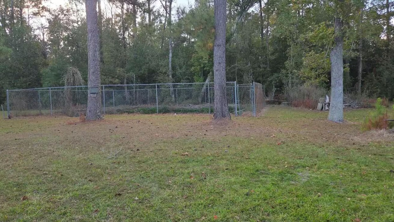 Photo of Outdoor in Moss Bluff