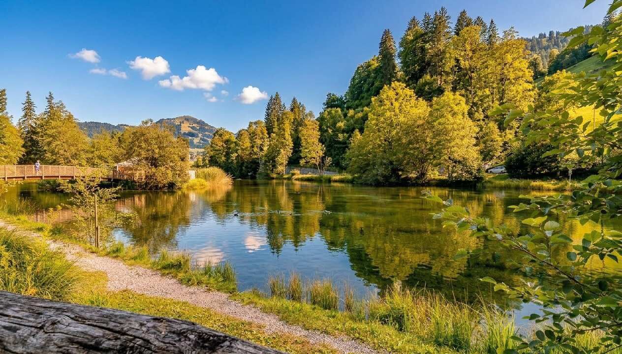 Photo of Outdoor in Zweisimmen