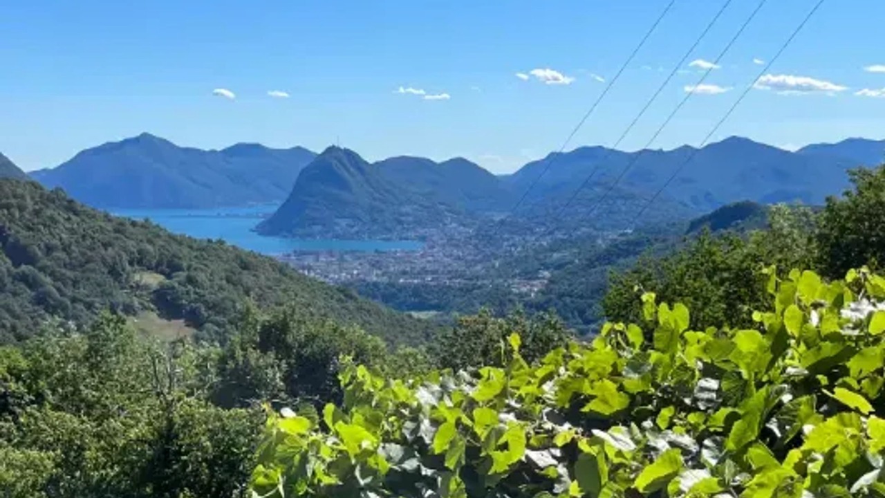 Photo of Others in Bidogno