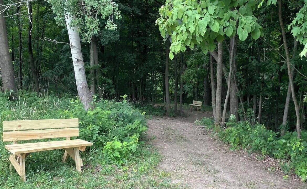 Photo of Outdoor in Bristol Hills